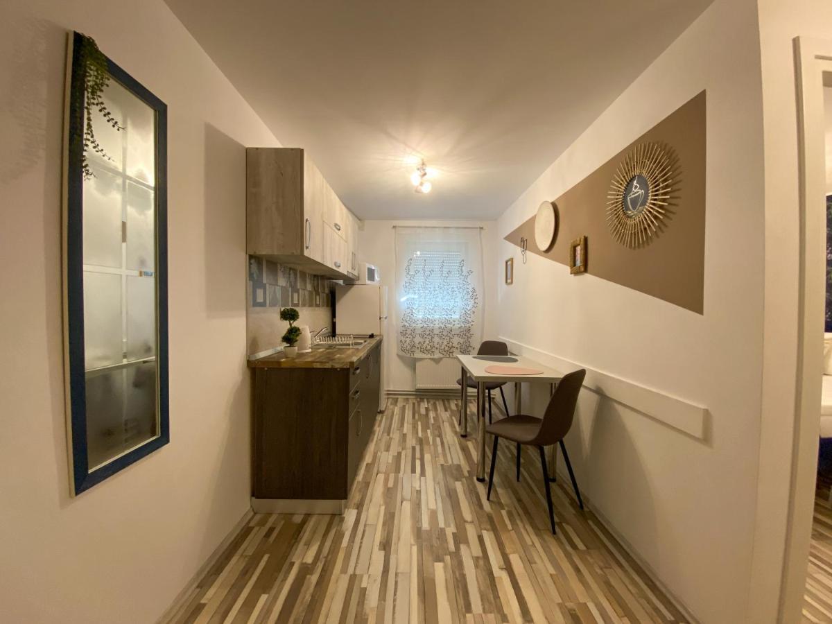 Blue Dream Apartment Timişoara Extérieur photo