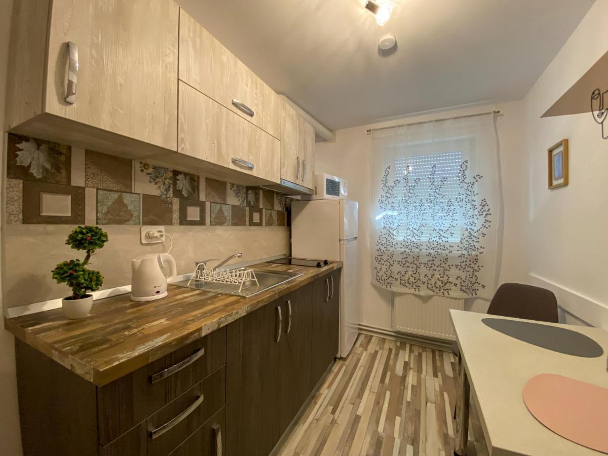 Blue Dream Apartment Timişoara Extérieur photo